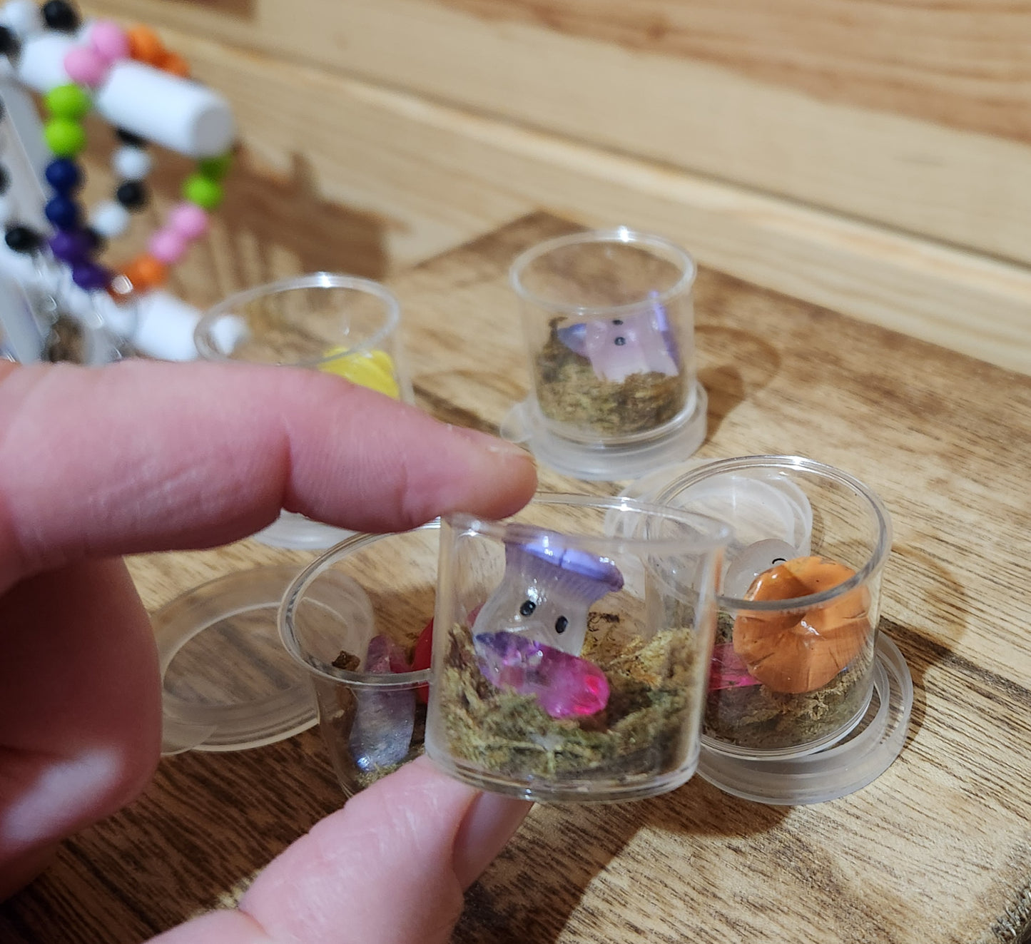 Mushroom Pet!