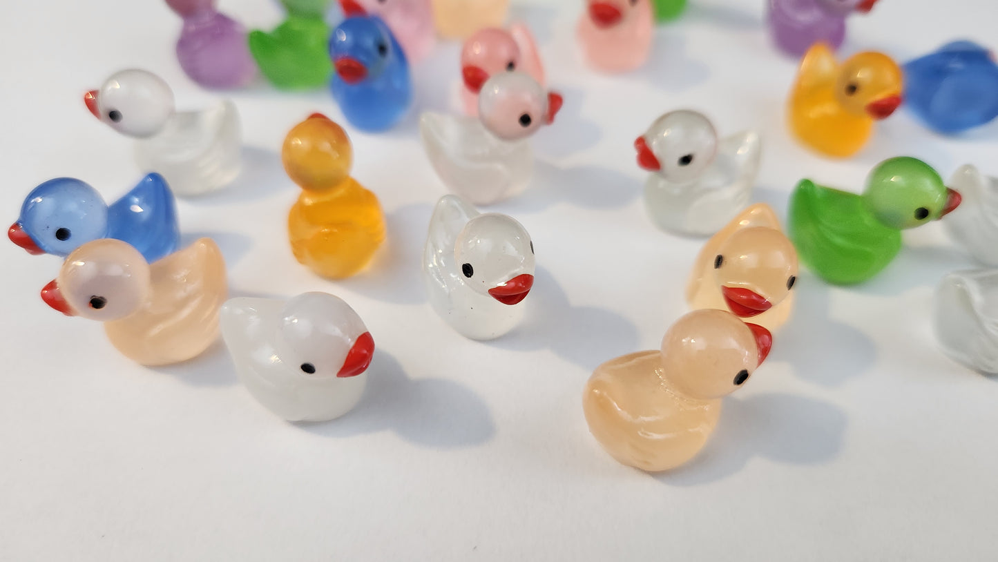 Tiny Ducks