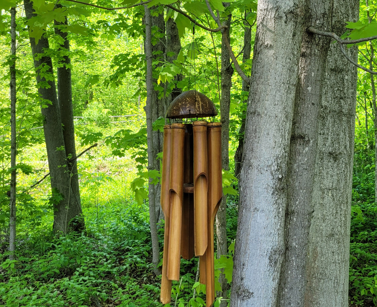 Bamboo Wind Chime
