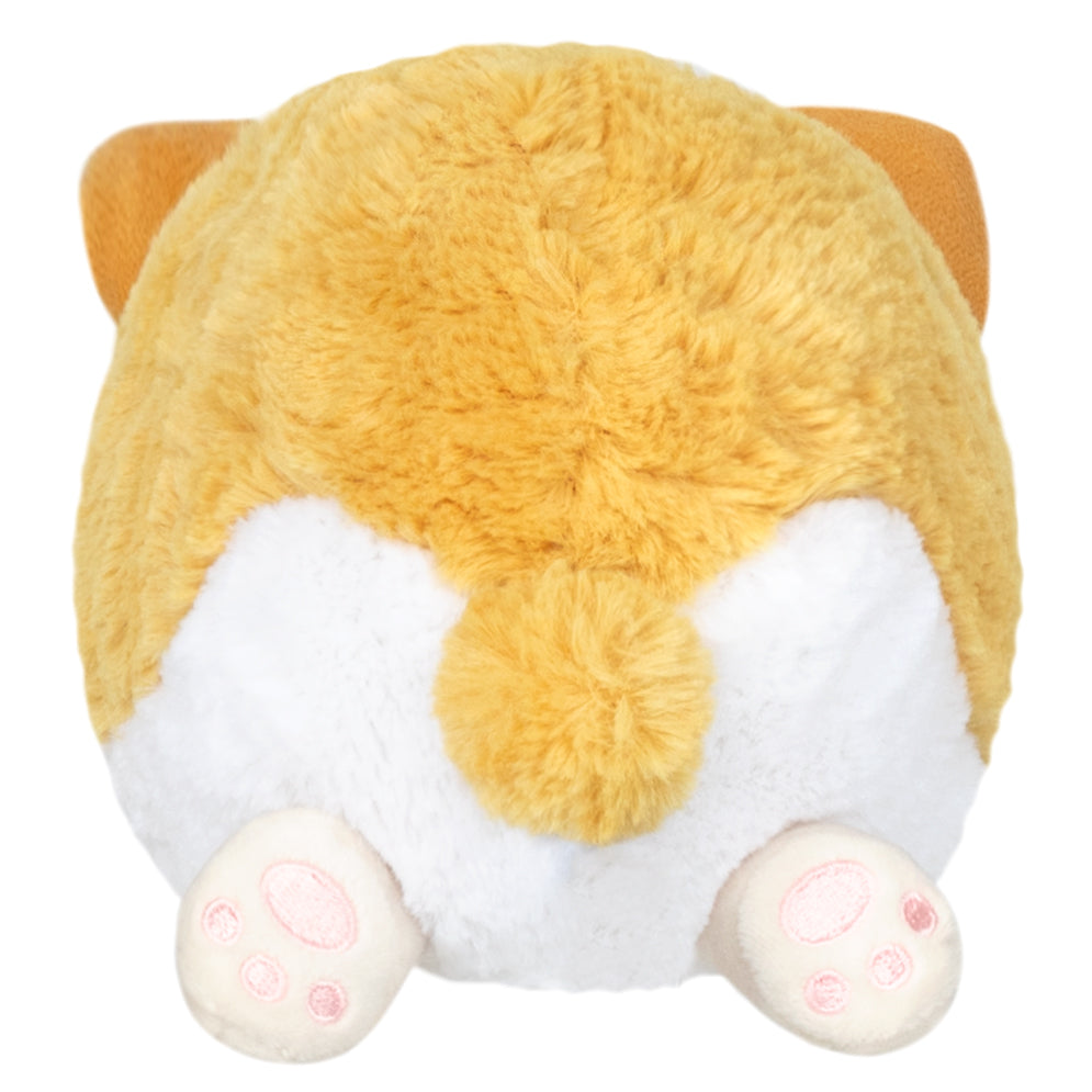 Snackers Baby Corgi - Squishable