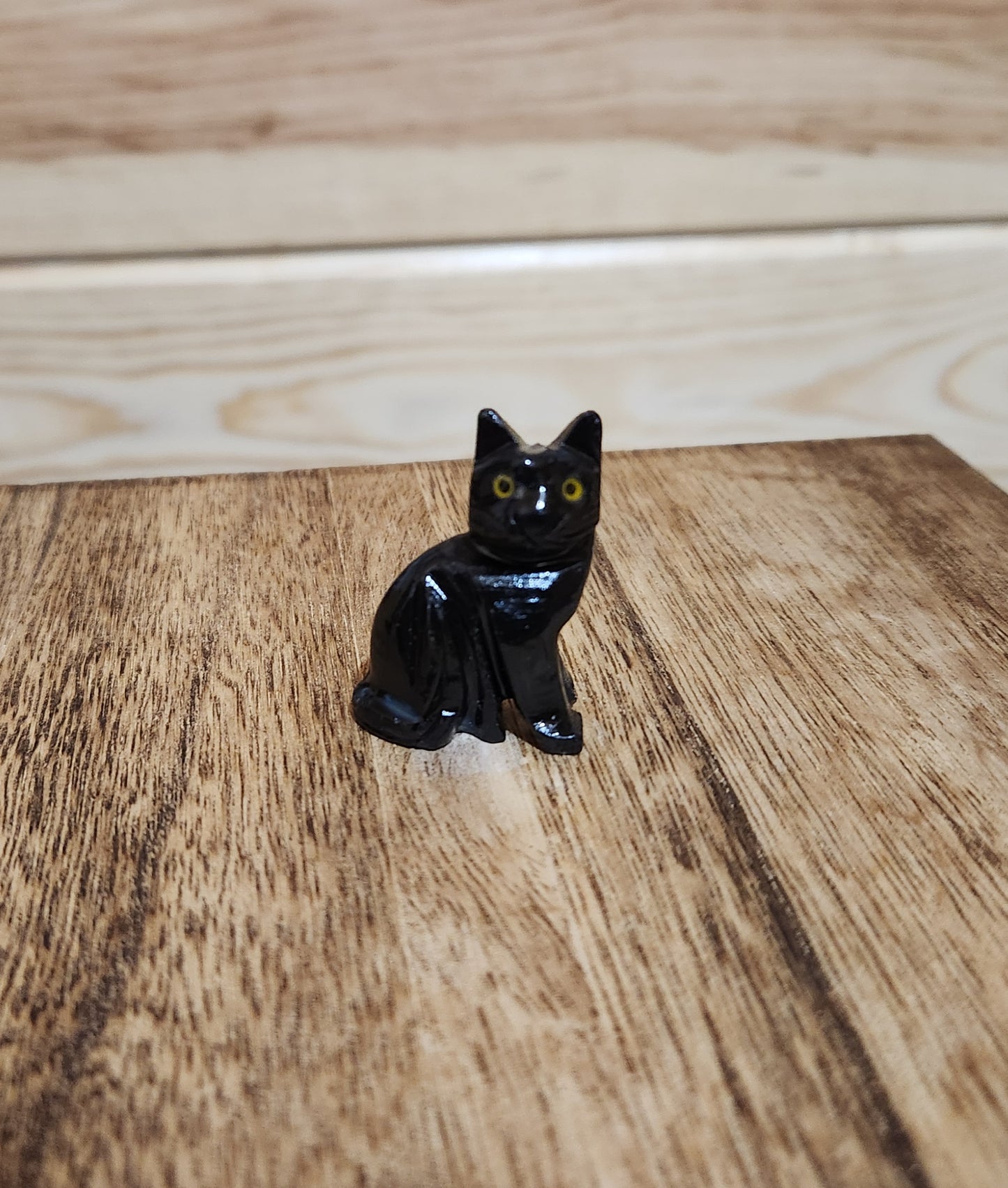 Onyx Cat