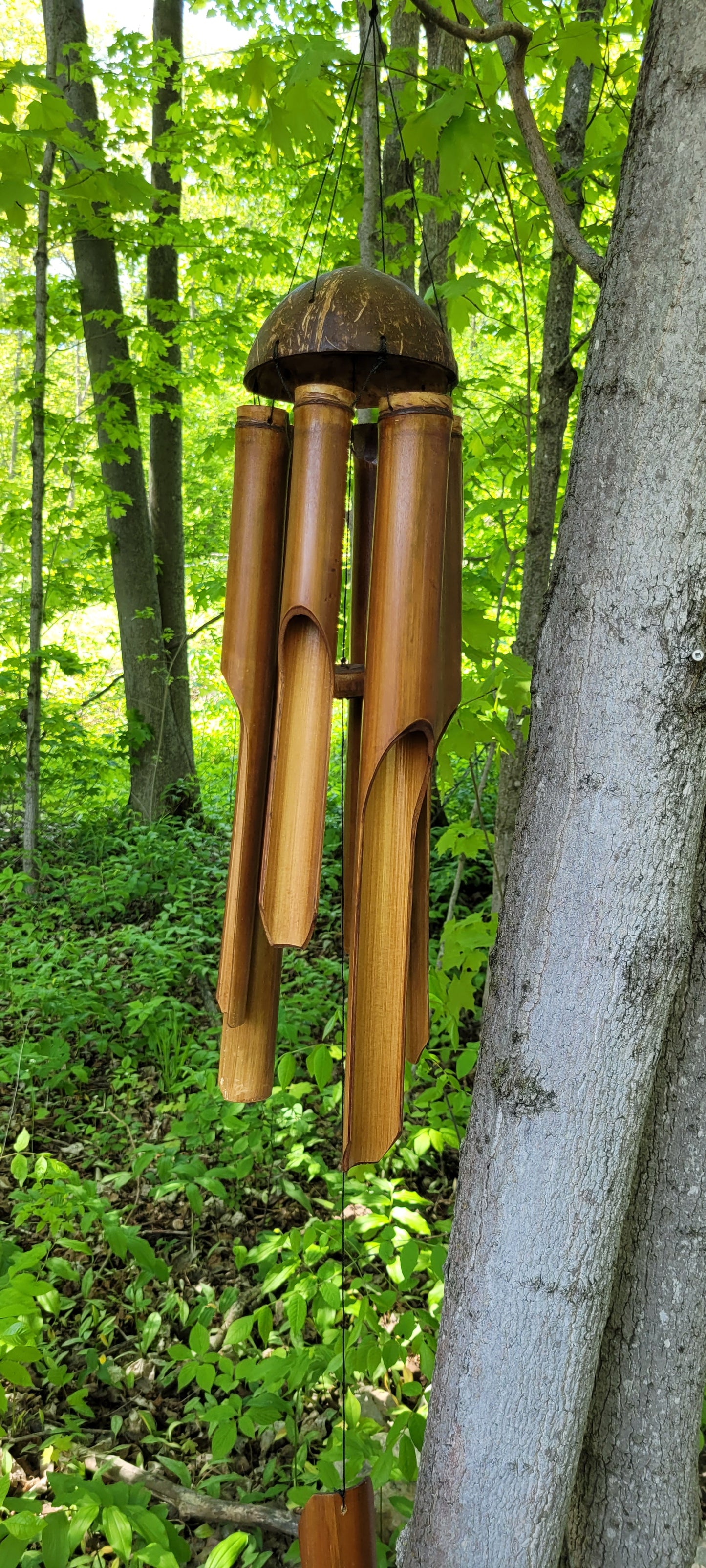 Bamboo Wind Chime